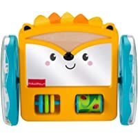Fisher-Price Espejo de Erizo Juega y arrasta- juguete para bebés + 3 meses (Mattel GJW14)